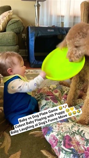 Baby vs Dog Plate Game 😂🐶Cutest Baby Playing with Puppy💛Baby Laughing at Dog’s Funny Move#babylaugh