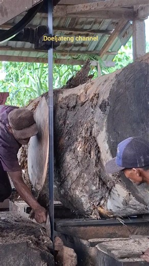 saw blade stuck, recklessly took it without safety #youtube #shorts #woodworking #trending #skills