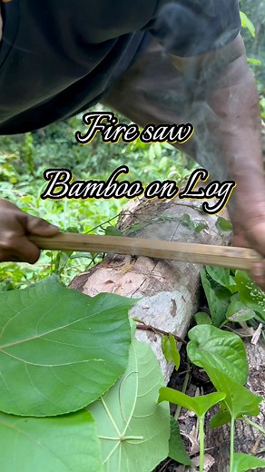 2.2M views · 26K reactions | Fire saw, Bamboo on Log #firesaw #primitivefirelighting #fireskills #outdoors #survival #selfsufficiency #bushcraft #fblifestyle | dalemgumino | Facebook