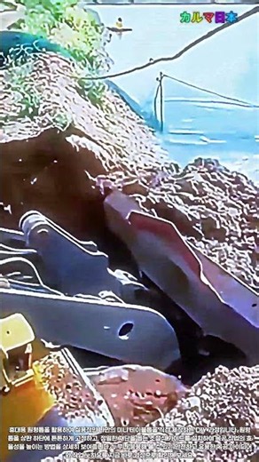 굴삭기와 수중 작업자의 완벽한 호흡! 경이로운 저수지 수확 현장 대공개 #worker #process #fishing #excavator #aquaculture