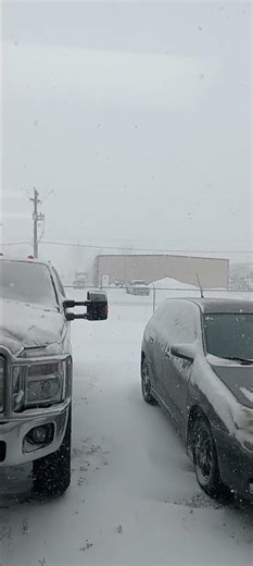 Blizzard Conditions, Near Zero Visibility and Getting worse. -30C Windchill. 10-25cms of snow.