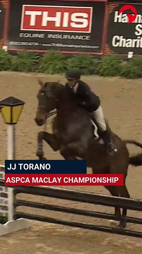 JJ Torano is your 2025 ASPCA Maclay National Championship winner! 🏆✨ Out of more than 170 of the nation’s top junior riders, Torano rose to the occasion and delivered an exceptional performance to claim the coveted Maclay title at the National Horse Show. 👏 Watch the full competition on ClipMyHorse.TV! ▶️ #ASPCAMaclayFinals #NationalHorseShow | ClipMyHorse.TV USA