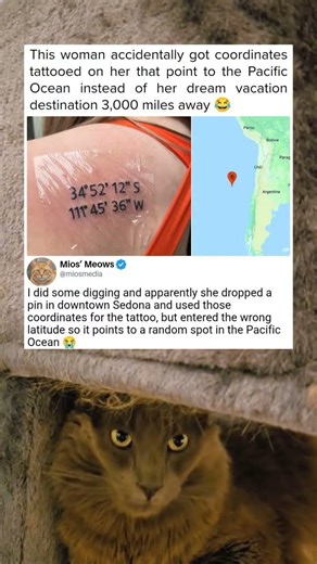 Tattoo coordinates straight to the ocean 😂