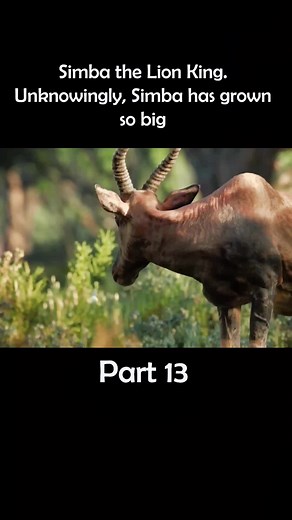 Simba the Lion King. Unknowingly, Simba has grown so big#foryou #film