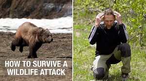 5.2K views · 53 reactions | ퟰ헣헮혁헿헶헼혁혀 헦혂헿혃헶혃헮헹 헠헶헻혂혁헲혀 | 험혀혀헲헻혁헶헮헹...