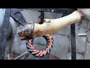 How to clean a sheep's head طریقه پاک کردن کله و پاچه گوسفند