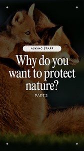 Comment why nature is important to you. If you want to take it one step further, tell your MP - check our bio. | Nature Canada
