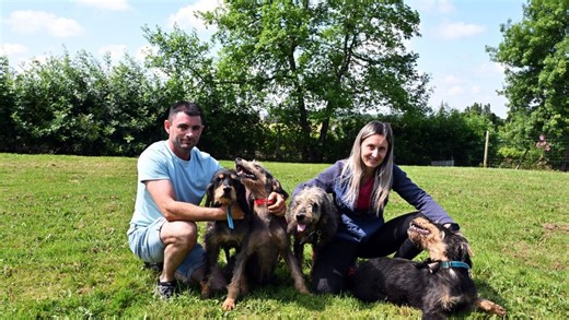 VIDEO. "J’aime surtout m’occuper des chiots": rencontre avec un chasseur passionné qui élève une meute de quarante chiens à Eauze
