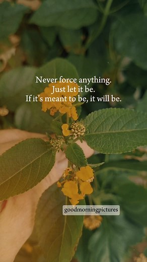 13K views · 227 reactions | Hi my friend's goodmorning ♥️. | Good Morning Pictures | Facebook