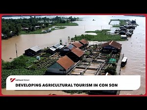 Developing agricultural tourism in Con Son | Vietnam Today