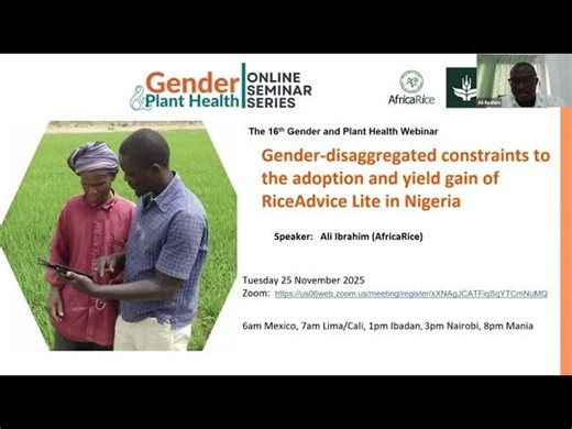 Rice Farmers in Nigeria Face Digital Adoption Challenges | CGIAR Sustainable Farming posted on the topic | LinkedIn