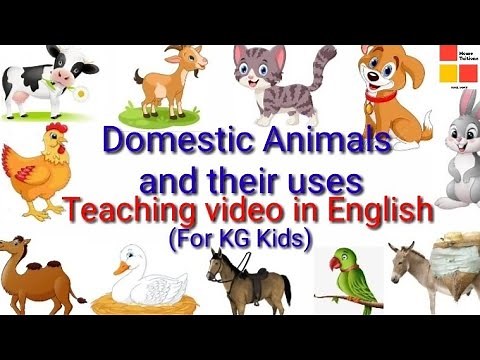 EVS Domestic Animals#Teaching video of Domestic Animals for KG kids#Domestic animals and their uses.