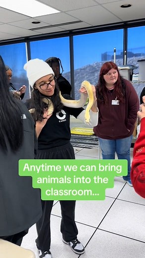 We LOVE visitors in our Veterinary Assistant classroom! 年 | Community Care College | Facebook