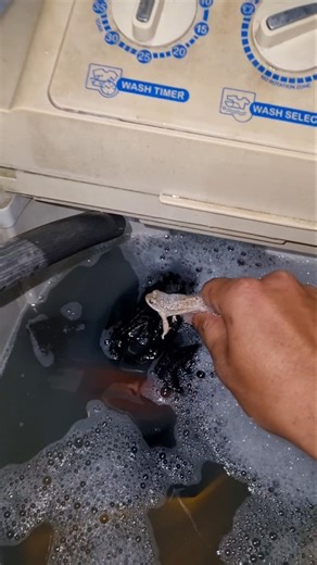 कपड़े धोने वाली मशीन से मेढ़क को बाहर निकाला rescue operation #shortvideo #theharyanvibeargrylls