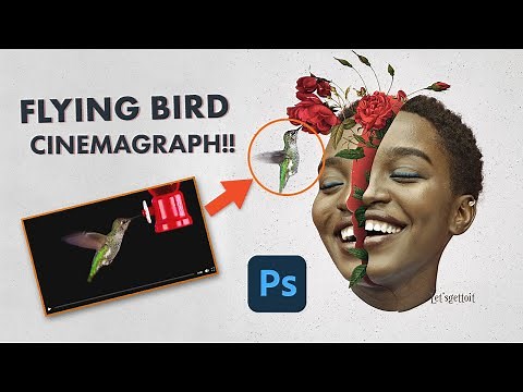 Flying Bird Cinemagraph - Photoshop Tutorial