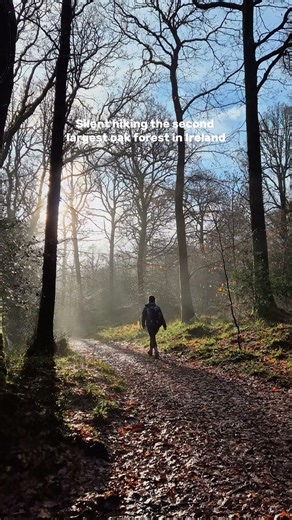 Just my footsteps, the wind, water and birds 💜