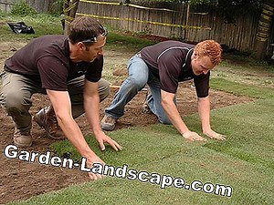 Other: Laying Turf - Instructions And Tips - My Beautiful Garden | 2025