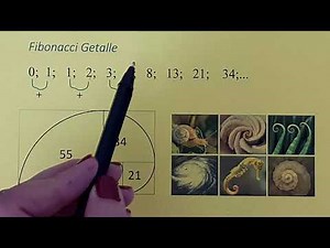 Numeriese en meetkundige patrone