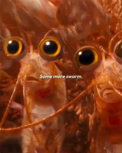 Happy Feet Two (2011) – “This Wasn’t Just About Krill” | ClipCosmos