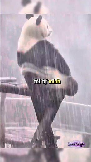 The truth hidden in a raindrop that you've never seen before 😱