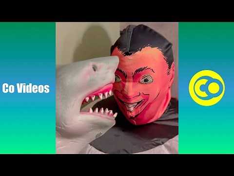 [1 HOUR] of The Best Shark Puppet Vines Compilation | Funny Shark Puppet Videos