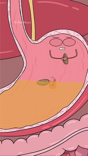 This Infection Came From Raw Oysters | Oysters
