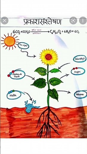 science tlm for junior school/science project