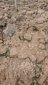 #Medjugorje QUESTA MATTINA SUL KRIZEVAC | Medjugorje tutti i giorni