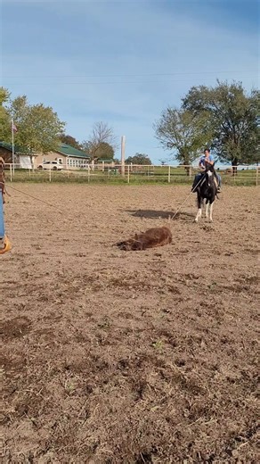 KTD Equine Services on Reels