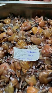 Nos grenouilles sont fraîches ! À venir déguster avec plaisir dans notre Restaurant l’Affineur Comtois à Besançon 😋 #grenouille #Grenouilles #restaurant #besancon #doubs #franchecomte | Restaurant L'Affineur Comtois
