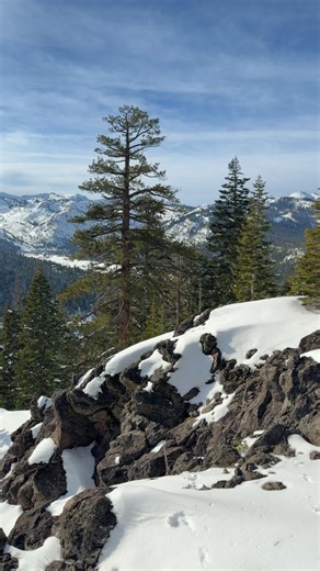 Explore Lake Tahoe with Snowshoeing Adventures