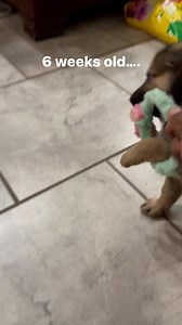 Jason Cross on Reels