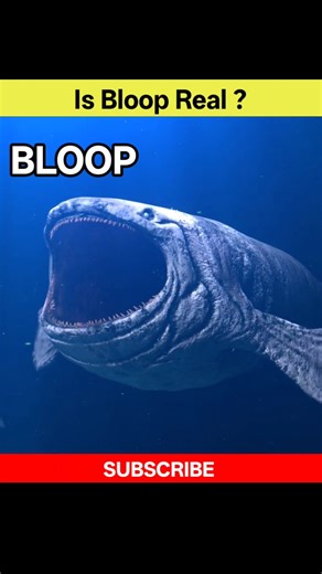 Is The BLOOP Real? Samundar Ka Sabse Bada RAAZ! #shorts #youtubeshorts