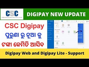 How to transfer wallet balance from old digipay to New Digipay web portal | Digipay new update
