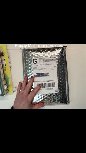 Today’s sticker haul from @DuruNaru I can’t wait to use them in my Hobonichi Weeks in 2026 ☺️ #stickerhaul #hobonichiweeks #hobonichi #planner #plannertok