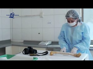 Noticiero Judicial: La importancia de las exhumaciones para resolver casos judiciales complejos