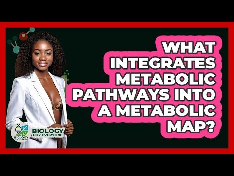 What Integrates Metabolic Pathways Into A Metabolic Map? - Biology For Everyone