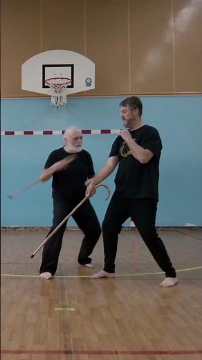 Canne & Self-defense - 2 enchainements basiques sur frappe verticale sur la tête