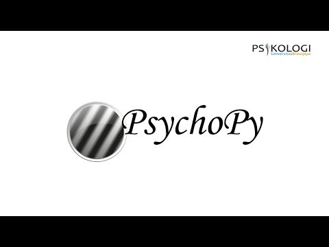 [4] Paradigma N-Back Task