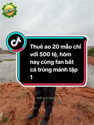 Thuê ao 20 mẫu chỉ với 500 tệ, hôm nay cùng fan bắt cá trúng mánh tập 1 #buoixanhreview #xuhuongtiktok