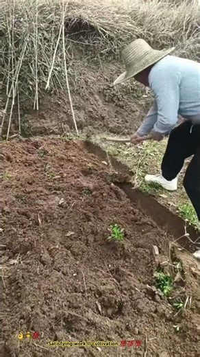 Best tool of farmer 🌿⛏️- Plowing farming by handy tool useful