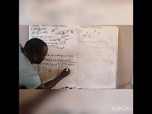 Stress, strain & Young's Modulus N4