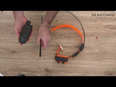 CANICOM GPS : mise en route de votre ensemble et comment ajouter des colliers