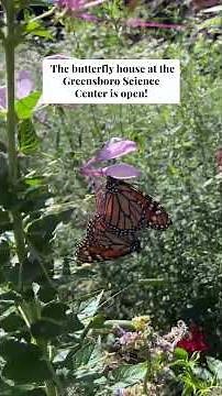 The butterfly house at the Greensboro Science Center is now open