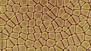 3d rendering loop animation of a complex network of interconnected nerve cells