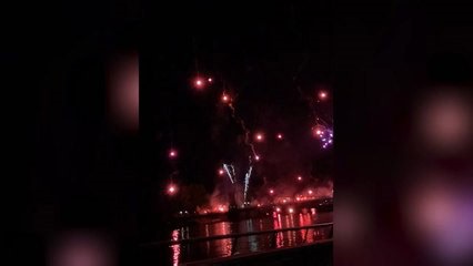 Unauthorised firework and flare display from hammersmith bridge causes a fire in the grounds of...
