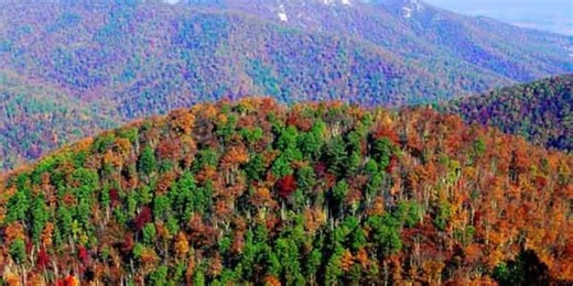 Shenandoah National Park readies for increase in visitors amid fall foliage