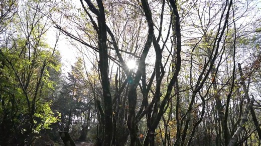 J-38 pour le 38e Raid Bleu – Du 30 octobre au 2 novembre 2025 Un rendez-vous Off-Road incontournable en France ! Rejoignez l’aventure du Raid Bleu, une expérience unique de quatre jours au cœur du Beaujolais. Du 30 octobre au 2 novembre 2025, vivez un week-end exceptionnel aux côtés de centaines de passionnés venus de toute la France. Que vous rouliez en moto, quad, SSV ou 4x4, le Raid Bleu vous ouvre ses pistes pour une édition historique, marquant les 25 ans d’Amada. 800 km d’évasion et de pas