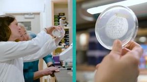 Since 1985, Pew has supported early-career scientists working to advance our understanding of human health. Over the past 40 years, that support has grown into a network of more than 1,000 researchers pioneering discoveries, fostering collaboration, and improving lives. | The Pew Charitable Trusts | Facebook