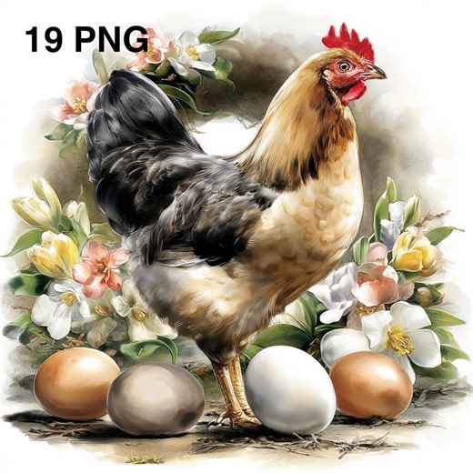 19 PNG Chickens and Eggs Illustration Clipart Watercolor Chicken Farm Easter Spring Illustration Farm Animal Easter Eggs Easter Time - Etsy